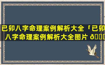 已卯八字命理案例解析大全「已卯八字命理案例解析大全图片 🐟 」